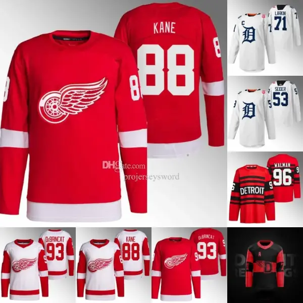 Detroit Red Wings Hockey Team