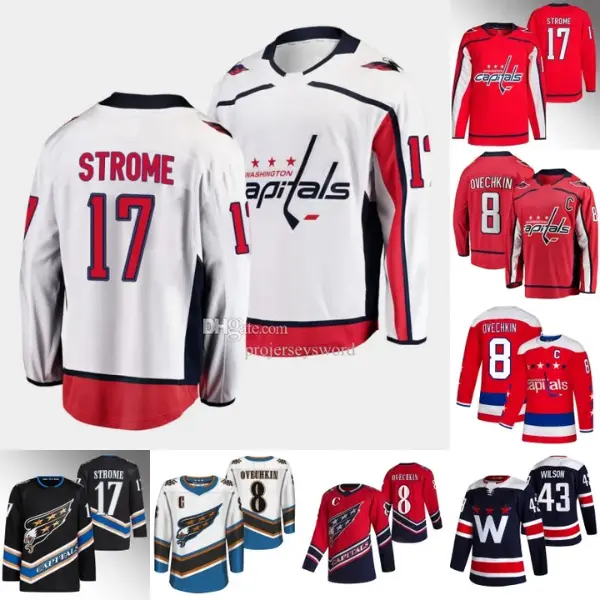 Washington Capitals Hockey Team